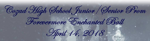 Forevermore Enchanted Ball