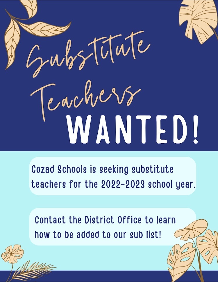 Substitute Teachers Wanted 